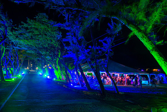 Weddings in Barbados Photographer