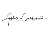 Weddings in Barbados Photographer