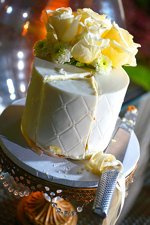 Weddings in Barbados Photographer
