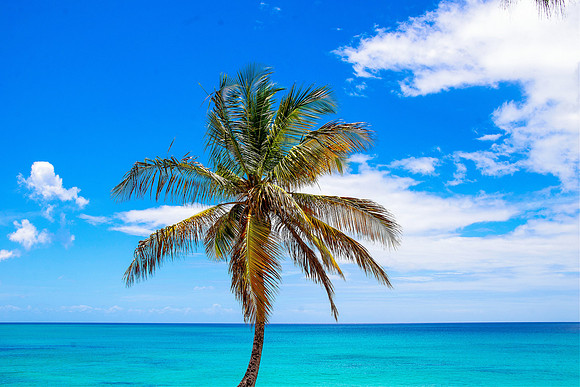 Barbados Caribbean Scenery